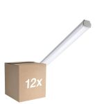 Mehrfachpackung 12x Philips LED Feuchtraumleuchte WT060C 30W 3600lm - 865 Tageslichtweiß | 120cm